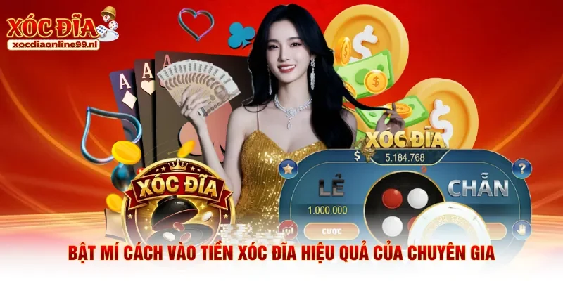 Bật mí cách vào tiền xóc đĩa hiệu quả của chuyên gia