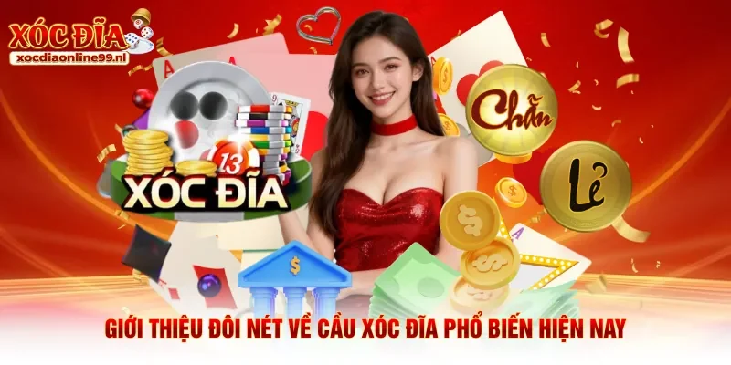 Giới thiệu đôi nét về cầu xóc đĩa phổ biến hiện nay