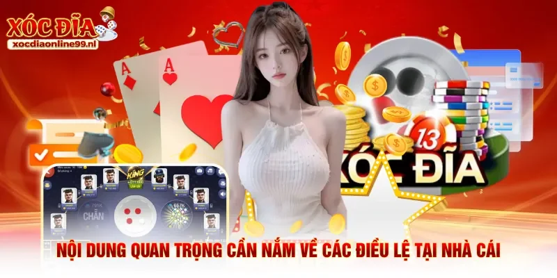 Nội dung quan trọng cần nắm về các điều lệ tại nhà cái