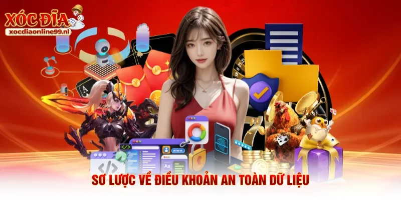 Sơ lược về điều khoản an toàn dữ liệu
