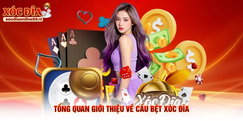 Tổng quan giới thiệu về cầu bệt xóc đĩa